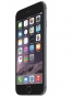 Fotografías Frontal de Apple iPhone 6 Gris Espacial. Detalle de la pantalla: Pantalla de inicio