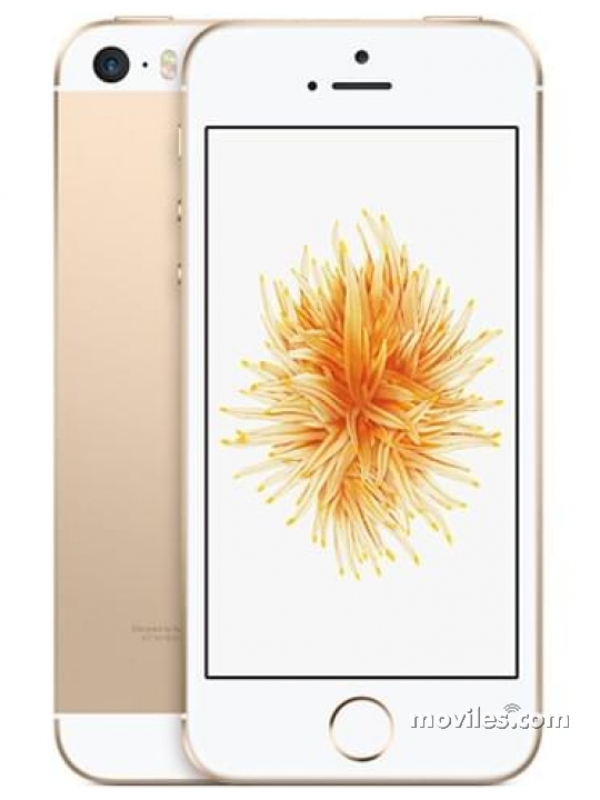 Imagen 7 Apple iPhone SE