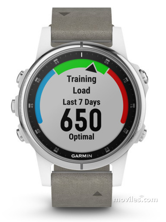 Garmin Fenix 5S Plus