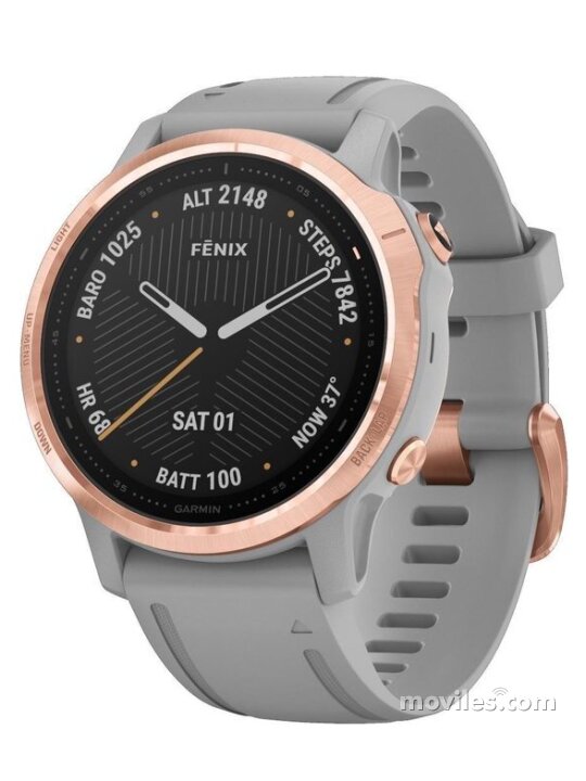 Imagen 2 Garmin Fenix 6S