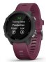 Forerunner 245