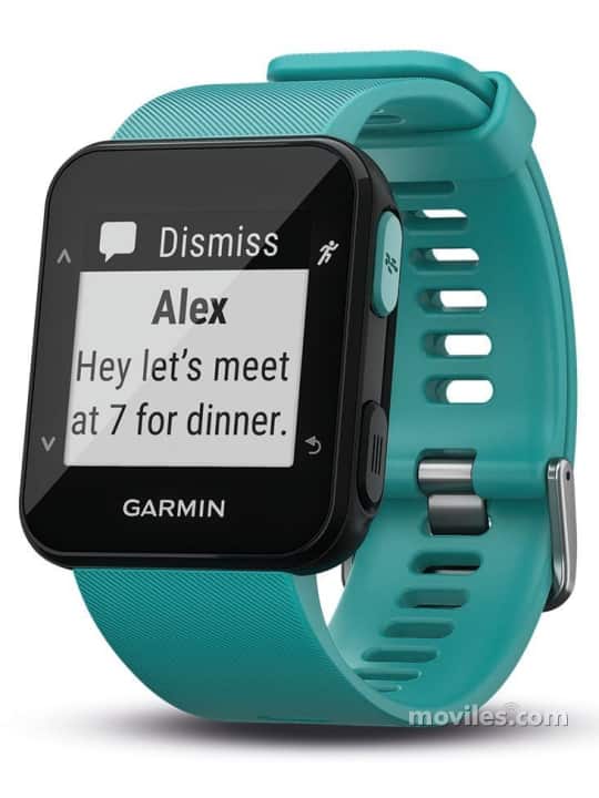 Imagen 3 Garmin Forerunner 30