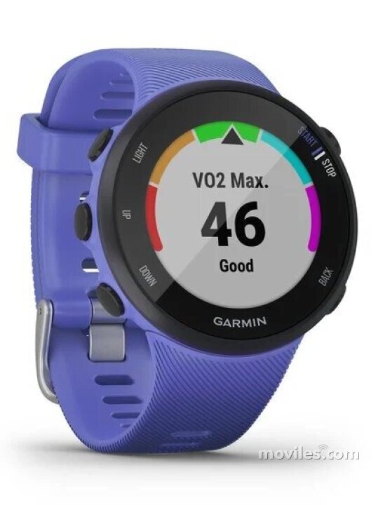 Imagen 2 Garmin Forerunner 45S