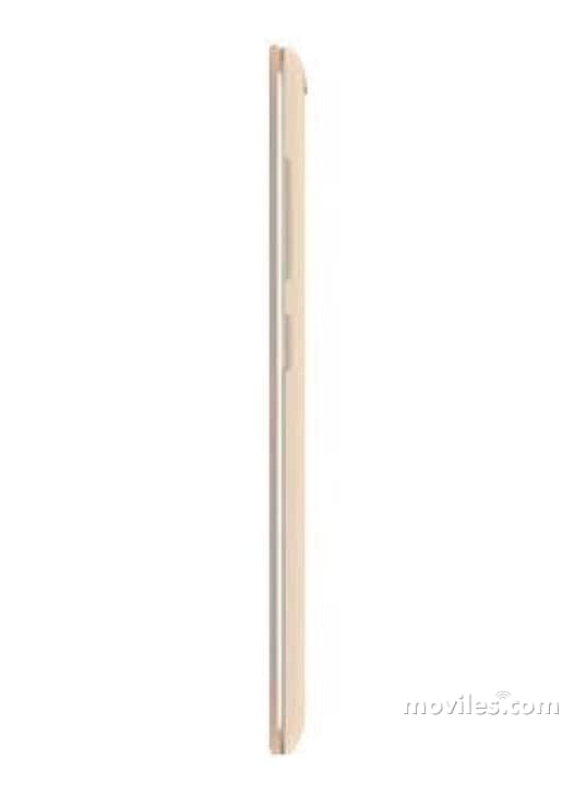 Imagen 3 Gionee Pioneer P6
