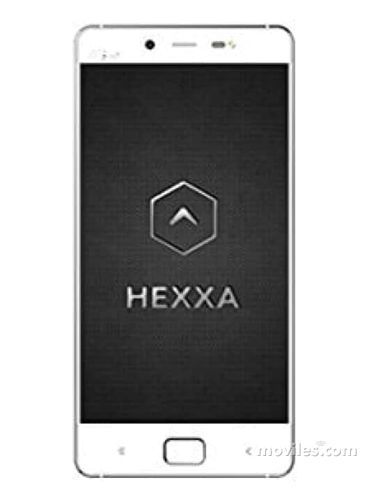 Hexxa Fenix