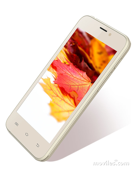 Intex Aqua Q8