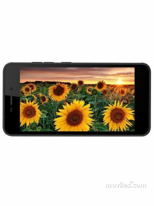 Intex Aqua Zenith