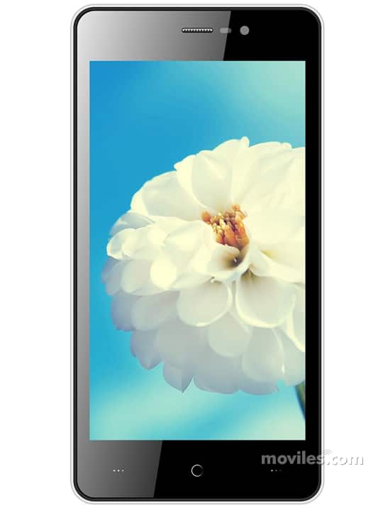Intex Cloud Zest