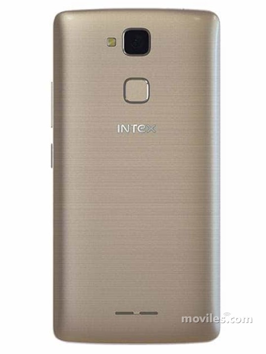 Imagen 2 Intex Elyt-E1