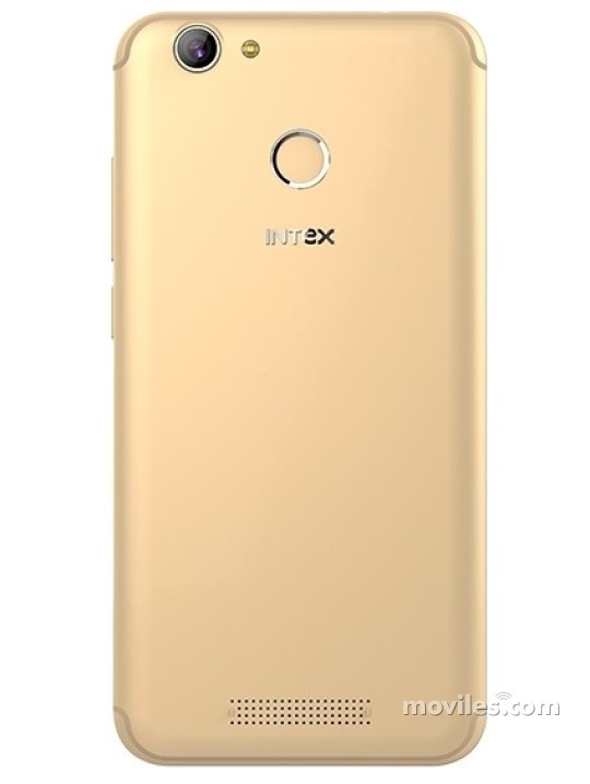 Imagen 2 Intex Indie 15