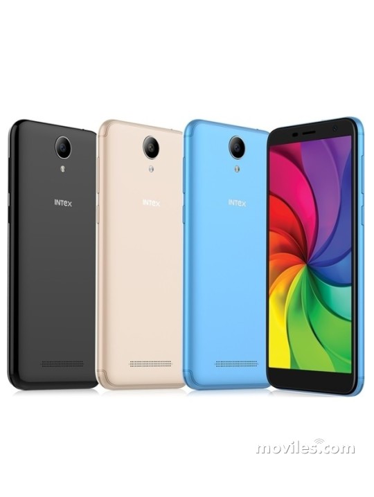 Imagen 8 Intex Indie 44