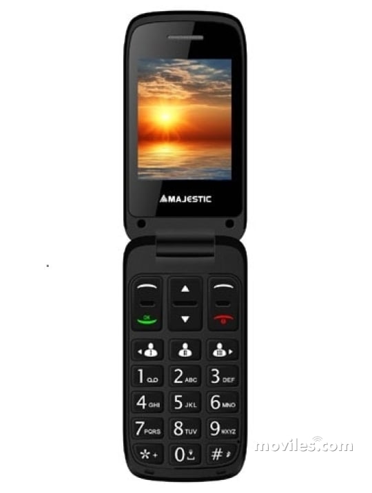 Majestic TLF-SILENO 40