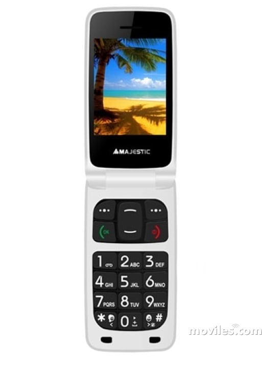 Majestic TLF-SILENO 41N FLIP