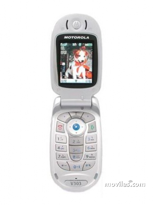 Motorola V303