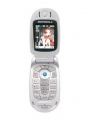 Motorola V303