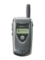 Motorola V60 Color