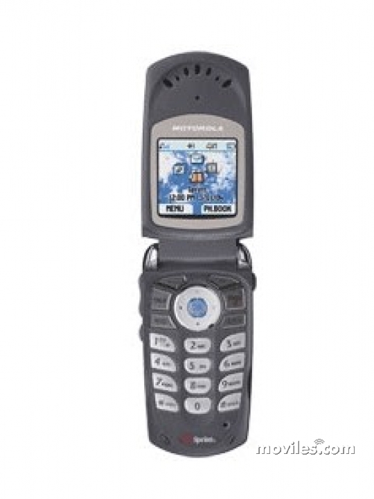 Motorola V60v
