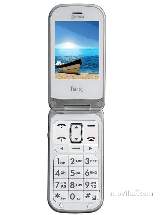 Imagen 2 NGM Felix
