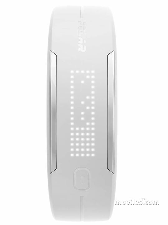 Polar Loop 2