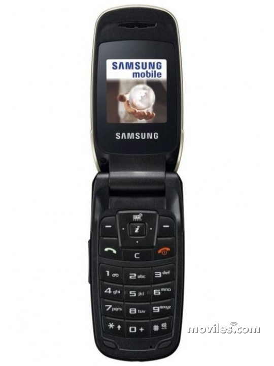 Samsung C250
