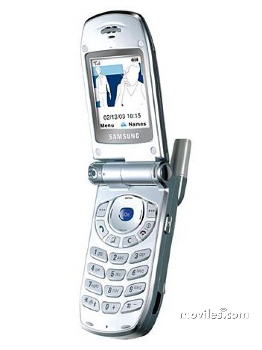 Samsung Z100