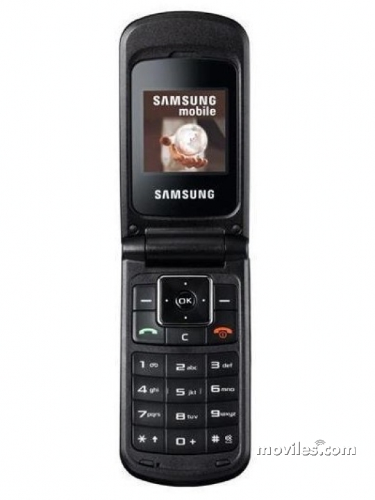Samsung B300