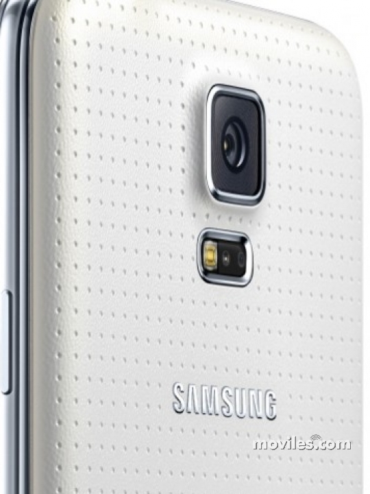 par Valiente Groenlandia Fotografías Samsung Galaxy S5 - Moviles.com
