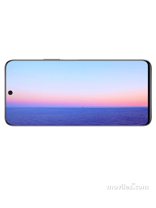 Imagen 4 Honor X20 SE