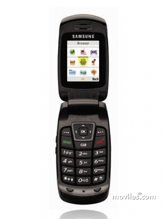 Samsung SCH-R300