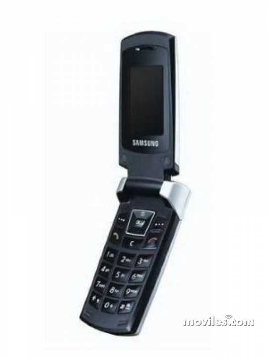 Samsung SGH-C406