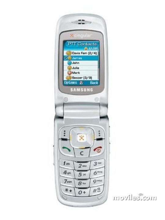 Samsung SGH-D357