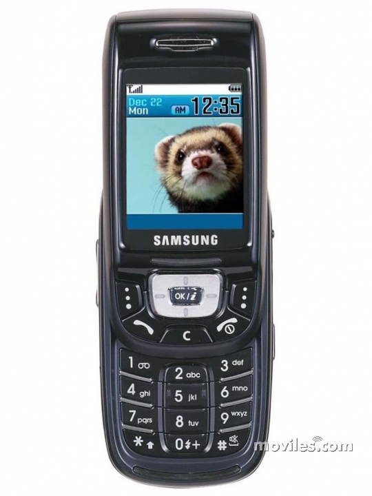 Samsung SGH-D500