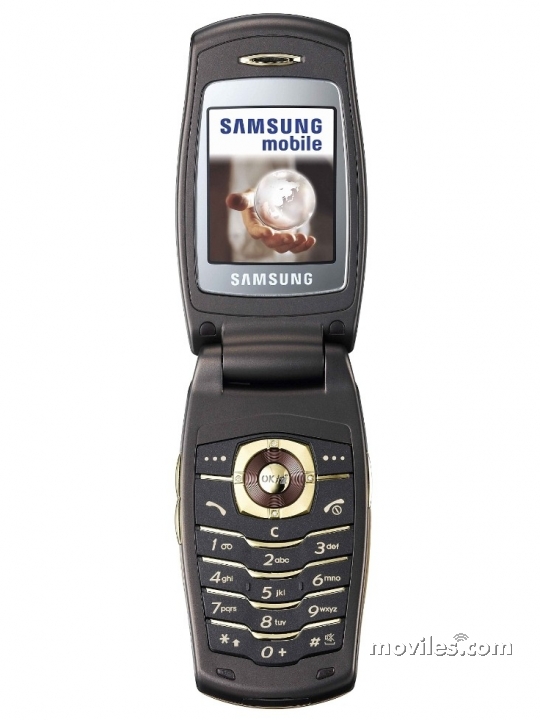 Samsung SGH-E500 LaFleur