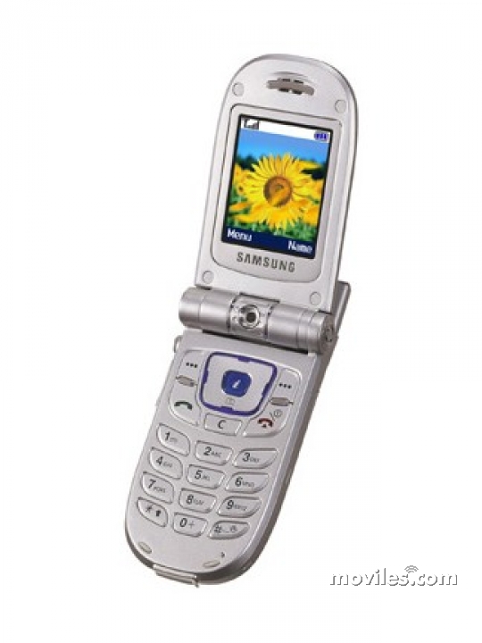 Samsung SGH-P107