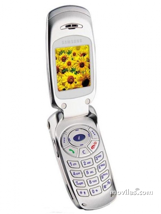 Samsung S300