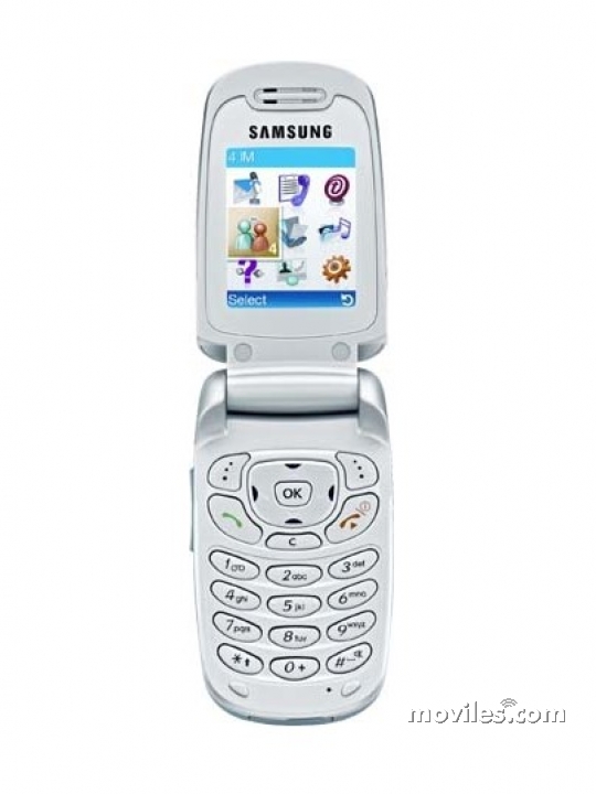 Samsung SGH-T209