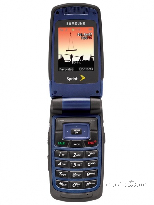 Samsung Z400