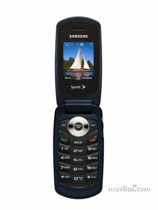 Samsung SPH-M220