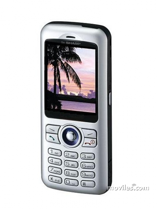Sharp GZ100