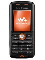 Fotografia Sony Ericsson W200