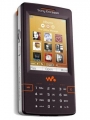 Fotografia pequeña Sony Ericsson W950i