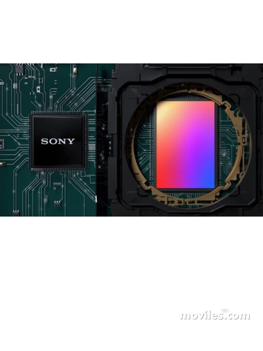 Imagen 11 Sony Xperia Pro-I