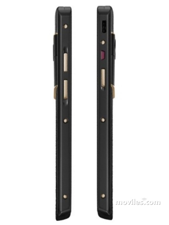 Imagen 5 Vertu Aster P Gothic