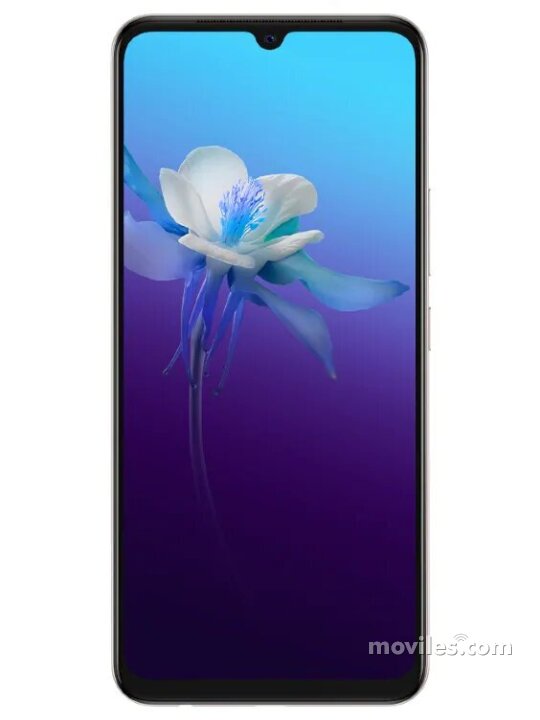 Vivo V20 2021