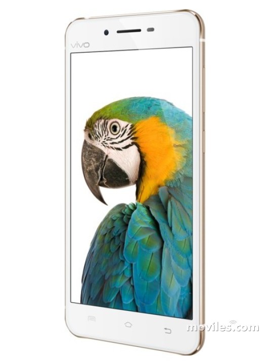 Imagen 4 Vivo X6Plus A