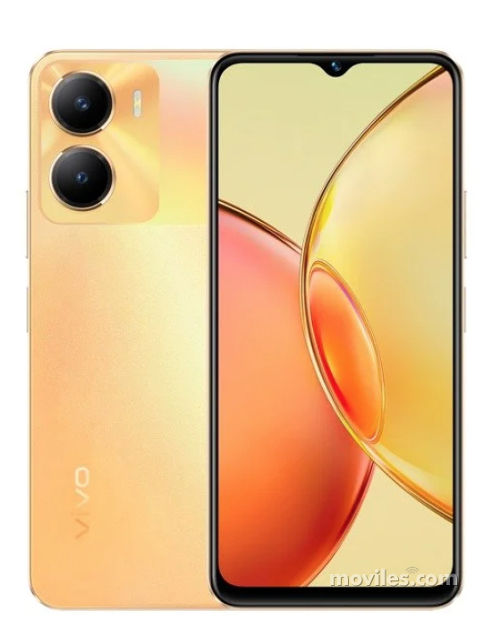 Vivo Y56