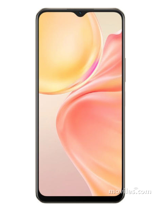 Vivo Y73t