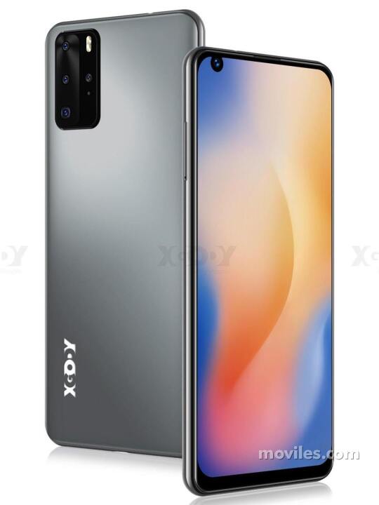 Imagen 3 Xgody P40