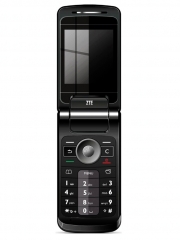 Fotografia ZTE F233